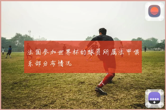 法国参加世界杯的球员所属法甲俱乐部分布情况
