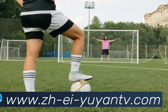 多媒体互动体验